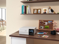 МФУ струйный Epson L8160 (C11CJ20404/C11CJ20403) A4 Duplex Net WiFi USB RJ-45 белый/черный