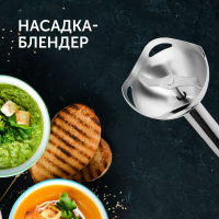 Блендер погружной Red Solution RHB-2908 черный/серебристый