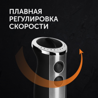 Блендер погружной Red Solution RHB-2908 черный/серебристый