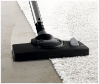 Пылесос BOSCH BWD421PET красный/черный