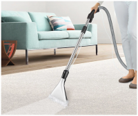 Пылесос BOSCH BWD421PET красный/черный