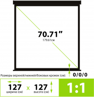 Экран Cactus 127x127см Triscreen CS-PST-127X127, 1:1 напольный рулонный черный