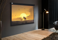 Экран Cactus 150x150см Wallscreen CS-PSW-150X150-BK, 1:1 настенно-потолочный рулонный черный