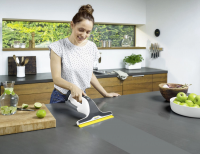 Стеклоочиститель ручной электрический Karcher WV 6 Plus (1.633-741.0) белый/черный
