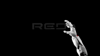 Микроволновая печь RED SOLUTION RM-2001D