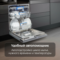 Посудомоечная машина Zigmund & Shtain DW 307.6, нержавеющая сталь