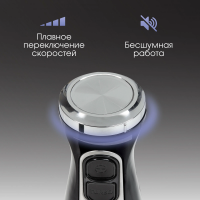 Блендер погружной Zigmund & Shtain BH-242 M, 1200 вт, 2 скорости, черный
