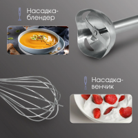 Блендер погружной Zigmund & Shtain BH-347 M, 1500 вт, черный/стальной