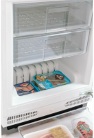Встраиваемый холодильник Scandilux SBSBI107EZ (RBI200+FSBI107)