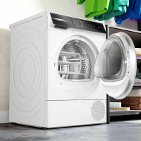 Сушильная машина Bosch WQB 245AEPL, белый/черный