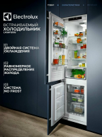 Встраиваемый холодильник Electrolux LNS6TE19S