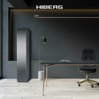 Сушильный шкаф с паром и дезинфекцией HIBERG SD 3G, зеркальное стекло/тёмно-серый