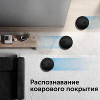 Робот пылесос Red Solution RV-RL6100S, черный