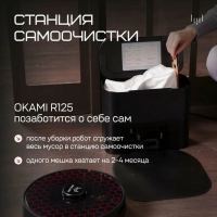 Робот пылесос Okami R125, черный