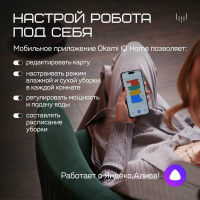 Робот пылесос Okami R125, черный