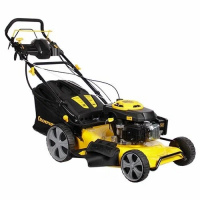 Газонокосилка роторная Champion LM5346E