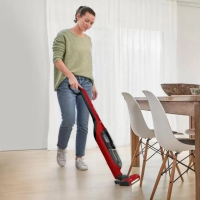 Пылесос вертикальный Bosch Flexxo 28Vmax ProAnimal BBH3ZOO28, красный