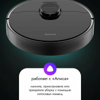 Робот пылесос Dreame D10s Pro, черный