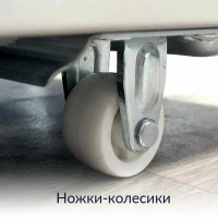 Морозильный ларь Hiberg PF 32L4 NFW, белый